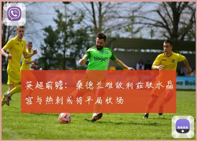英超前瞻：桑德兰难敌利兹联水晶宫与热刺或将平局收场