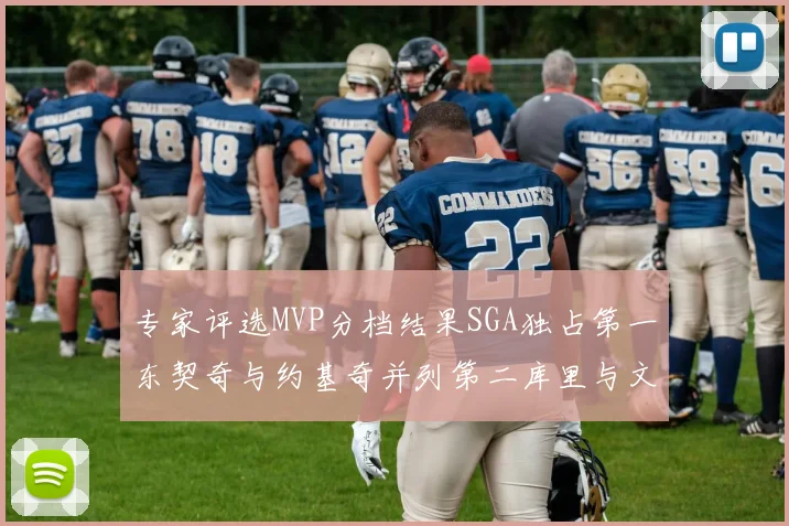 专家评选MVP分档结果SGA独占第一东契奇与约基奇并列第二库里与文班位列第四